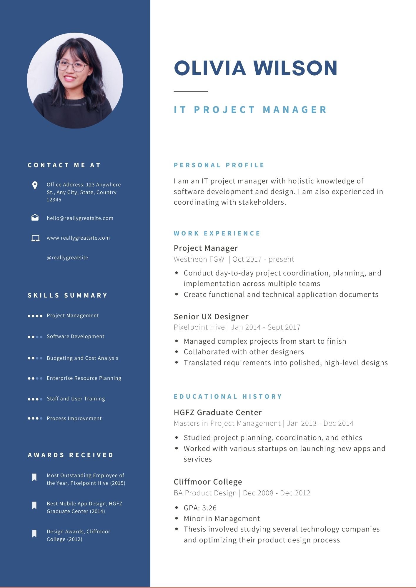 professional cv maker online